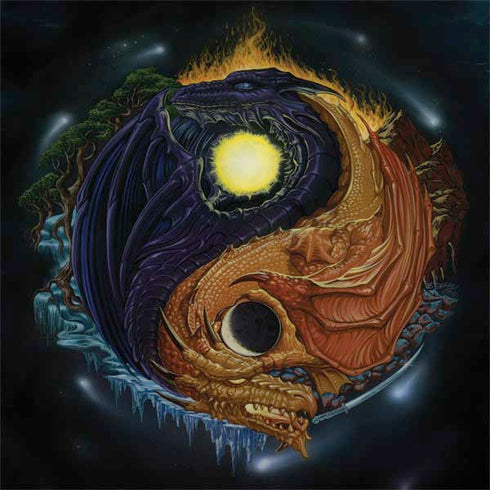 Ed Beard Jr. Yin Yang Dragon Surface Book 2 13.5in Skin